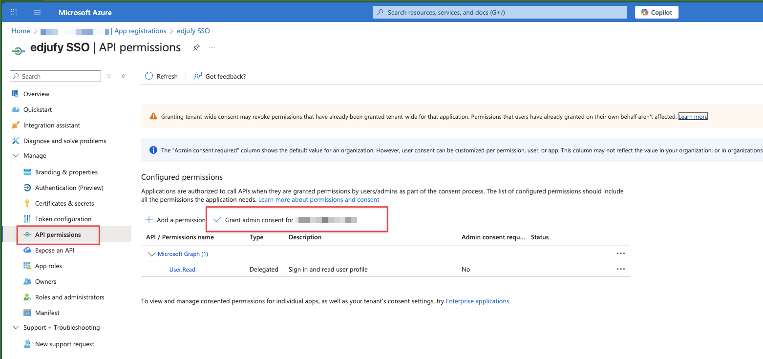 API Permissions with Grant admin consent
